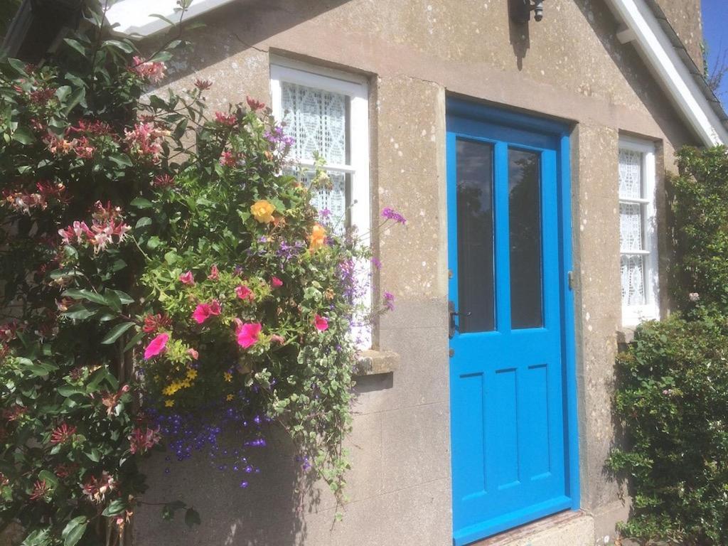 Smeaton Farm Luxury B&B St Mellion Kültér fotó