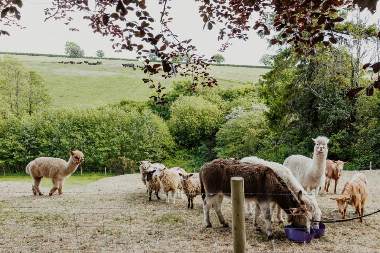 Smeaton Farm Luxury B&B St Mellion Kültér fotó